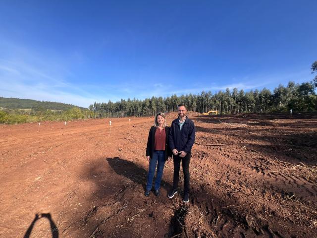 Assinada ordem de início para a construção de 20 casas populares em Paverama